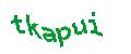 Captcha-Abbildung
